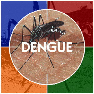 Todos contra a Dengue