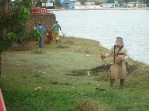 Margens do Lago Maracá estão sendo limpas