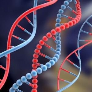 Teste de DNA preventivo começa a ser vendido no Brasil pela Internet