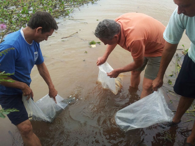 Peixamento em Retiro2