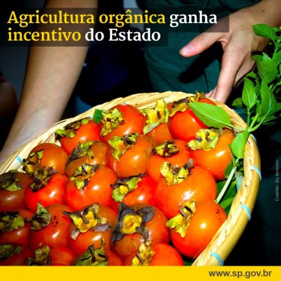 Governo do Estado apresenta projeto que incentiva a produção de orgânicos