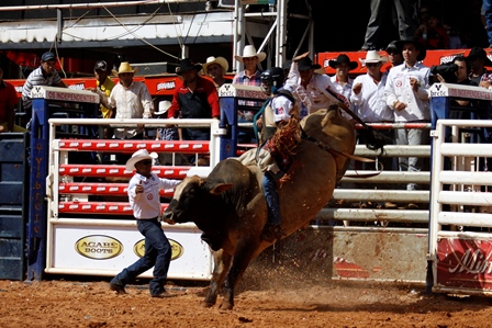 Festa do Peão de Barretos estimula novos talentos no Rodeio Júnior