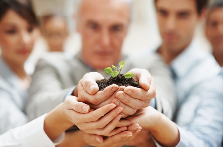 Empresa Familiar ou Família Empresária? A importância da profissionalização na Empresa Rural Familiar