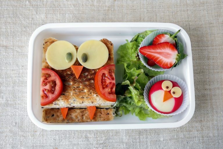 LANCHEIRA SAUDÁVEL: SOCIEDADE BRASILEIRA DE DIABETES ORIENTA A MONTAGEM