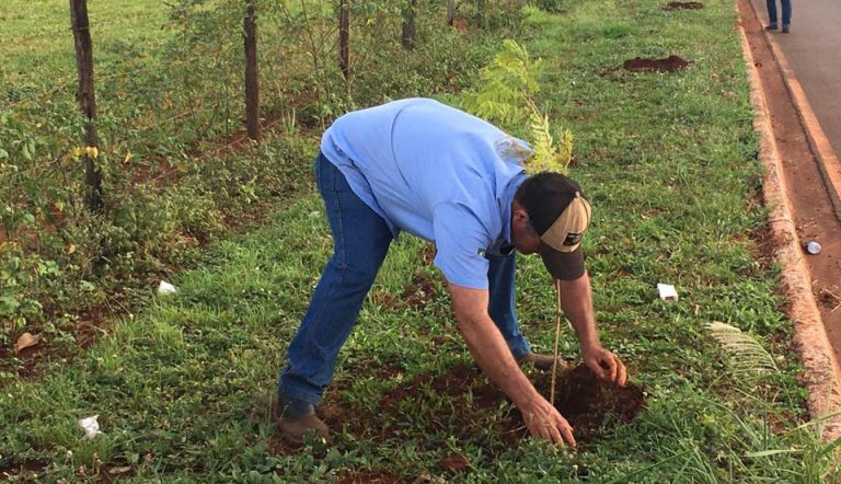 PREFEITURA DE GUAÍRA PRODUZ CARTILHA DE ARBORIZAÇÃO URBANA