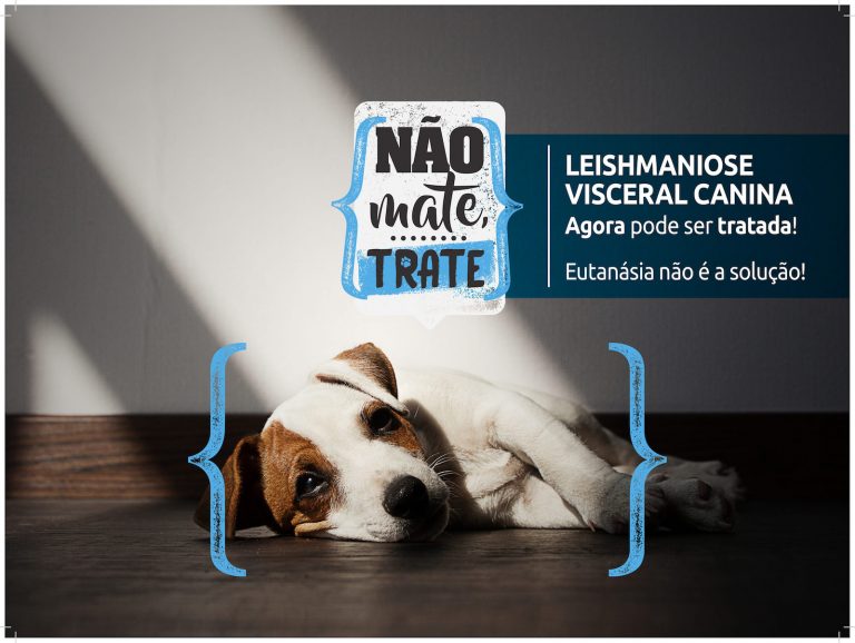 SEGUNDA EDIÇÃO DA CAMPANHA NÃO MATE TRATE ALERTA SOBRE O AVANÇO DA DOENÇA NAS GRANDES CIDADES