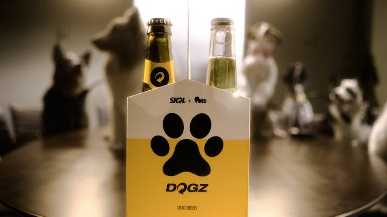 NO DIA DO AMIGO, PETZ E SKOL LANÇAM A SKOL DOGZ PARA BRINDAR COM SEU MELHOR AMIGO.