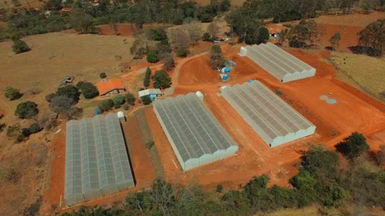 A fazenda dentro de uma estufa
