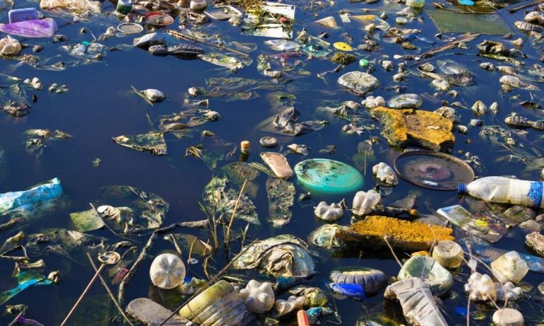 O destino do lixo e o futuro do meio ambiente