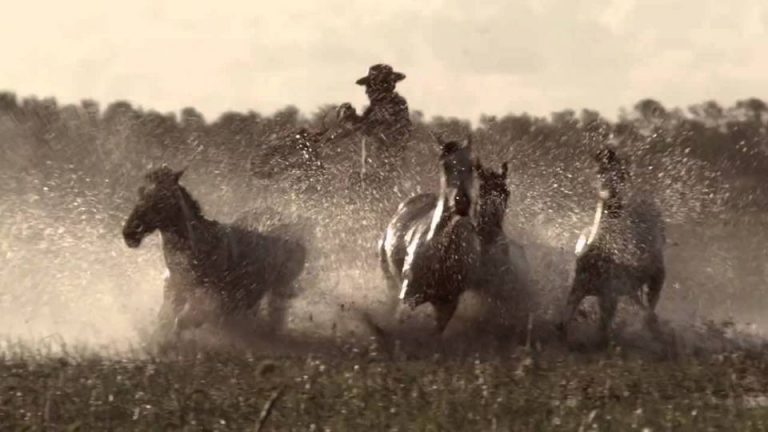 O filme “Bravos Valentes – Vaqueiros do Brasil”   terá lançamento nacional no dia 30 de Setembro nos cinemas