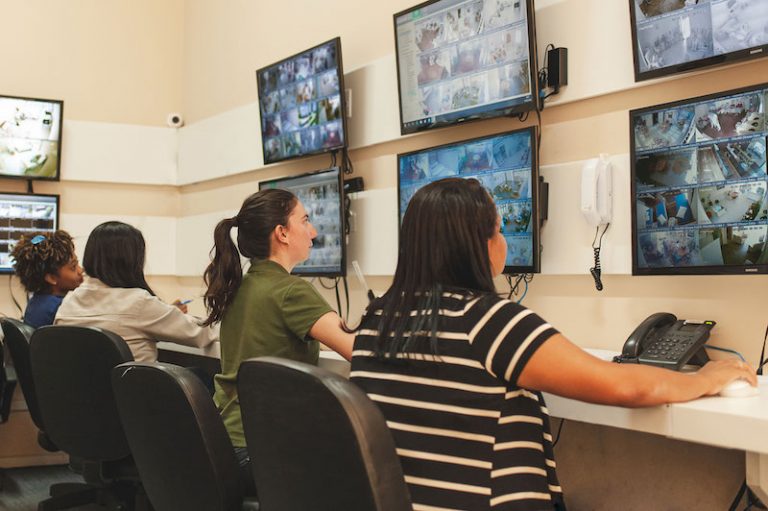 Mercado para idosos cresce e demanda novas tecnologias