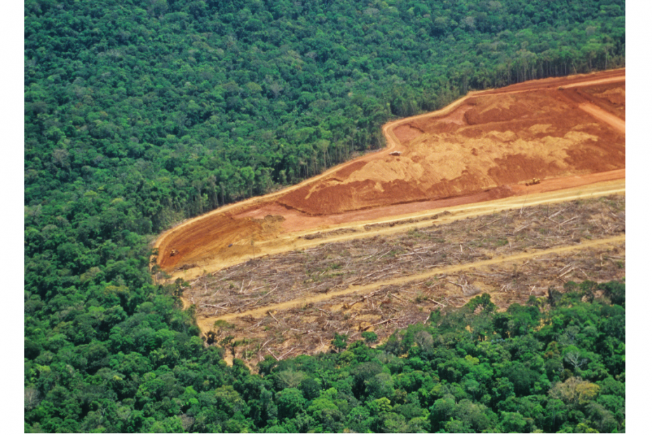 Alemanha e Noruega voltam a estabelecer compromisso com a Amazônia