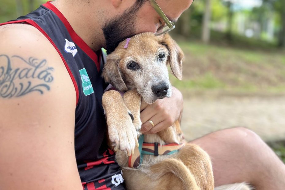 Como as doenças neurodegenerativas afetam os animais?