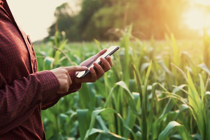 Digitalização do agronegócio cresce no país