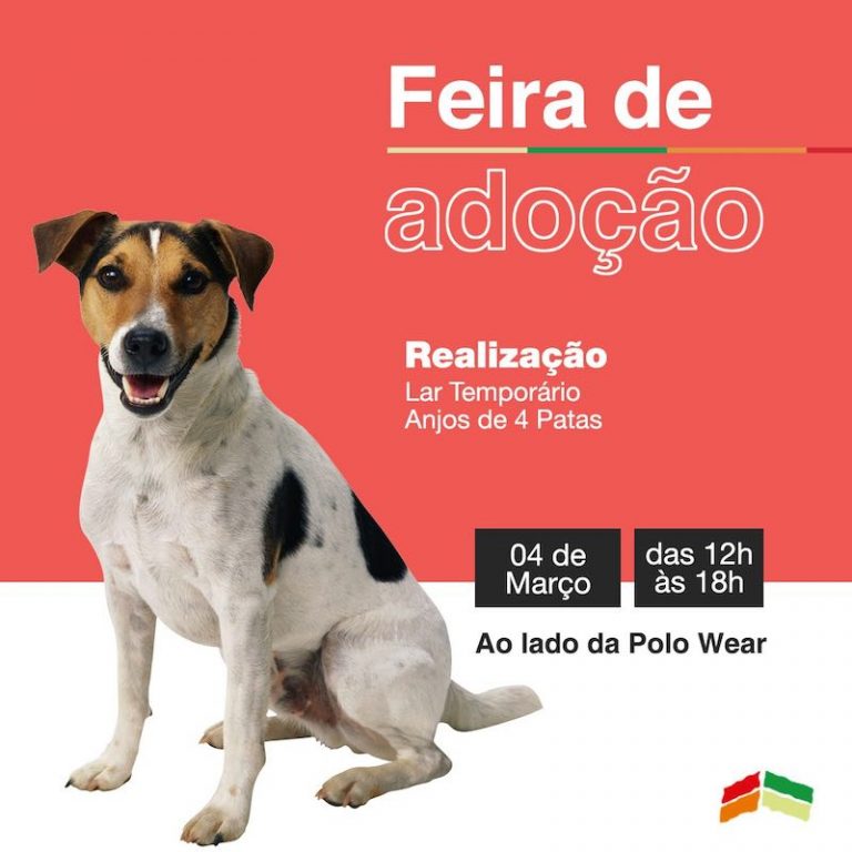 Feira de adoção de pets do North Shopping acontece neste sábado, 4