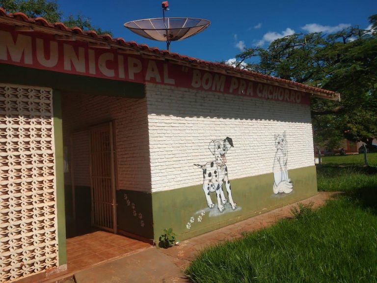 Guaíra: Inscrições para castrações de animais agora podem ser feitas no Centro de Castrações