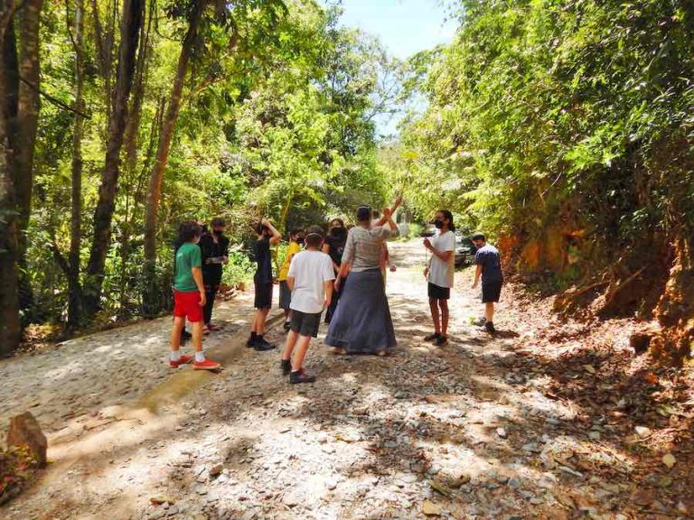 Sem eletrônicos, Escola Verde transforma floresta em sala de aula e traz agenda ESG para o ensino