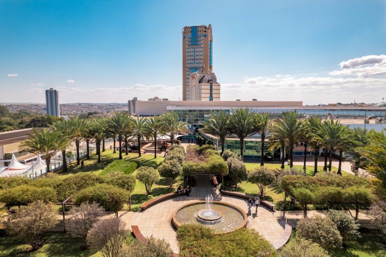 Ação digital celebra o Dia da Árvore no RibeirãoShopping