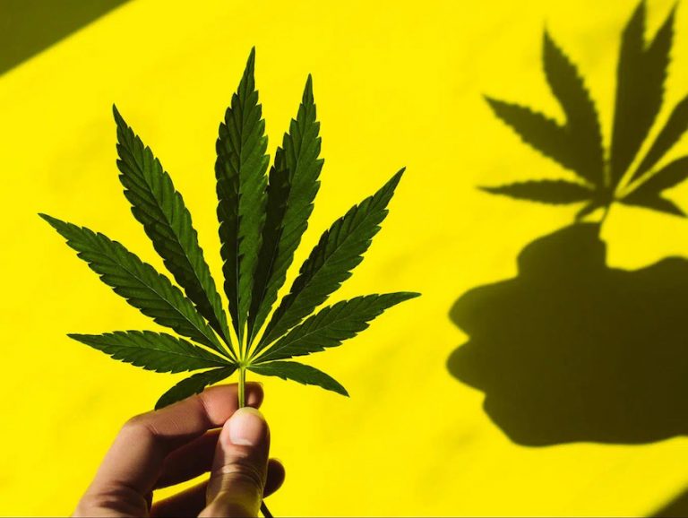 Julgamento do STF sobre drogas pode possibilitar expansão de atividades criminosas, diz especialista