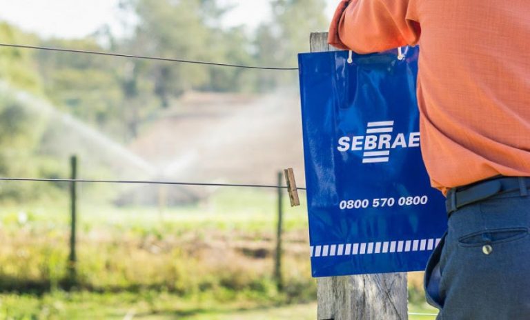 Sebrae-SP oferece 2.610 vagas para produtores e produtoras rurais em programa gratuito de inovação