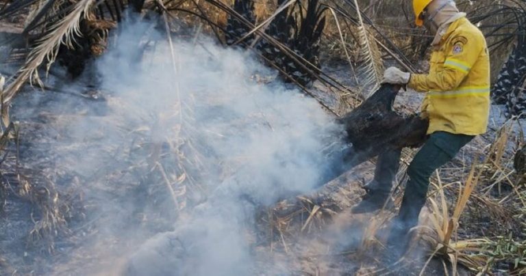 Qualidade do ar: saiba como proteger crianças e adolescentes das queimadas