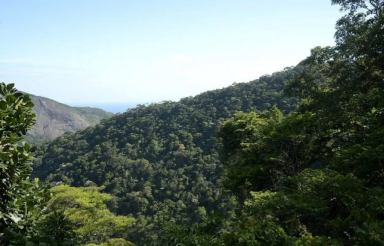 Medidas para conter o aumento da temperatura global não são suficientes; aponta ONU