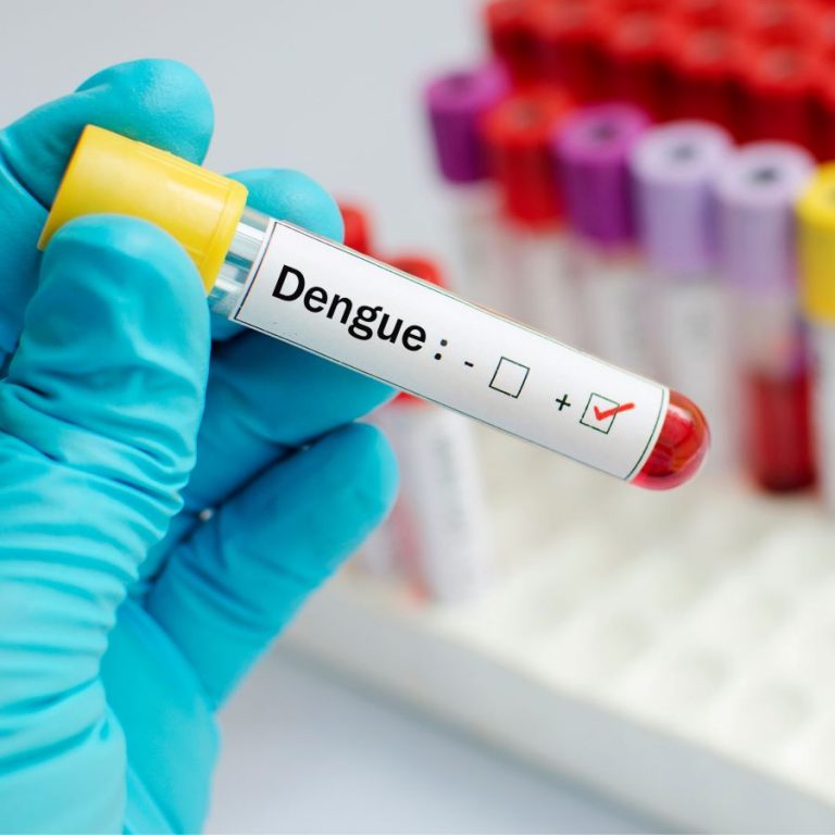 Automedicação pode piorar casos de dengue, alerta especialista