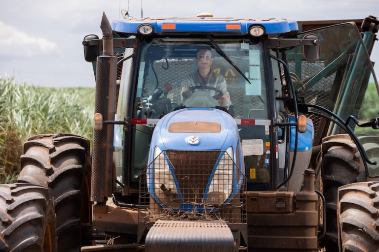 Tereos oferece mais de 100 vagas em Feirão de Empregos em Colina e Guaraci