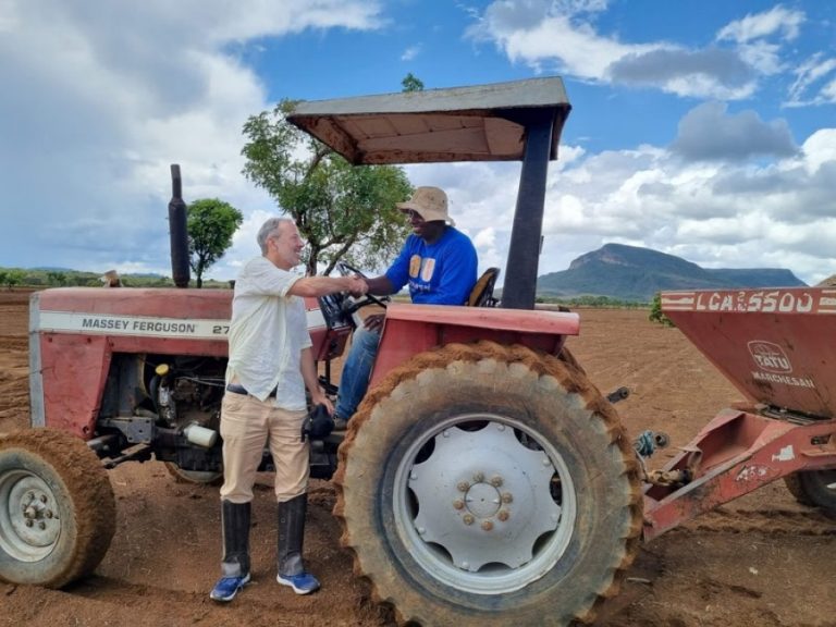 Muvuca de sementes: uma técnica de recuperação do Cerrado na Chapada dos Veadeiros