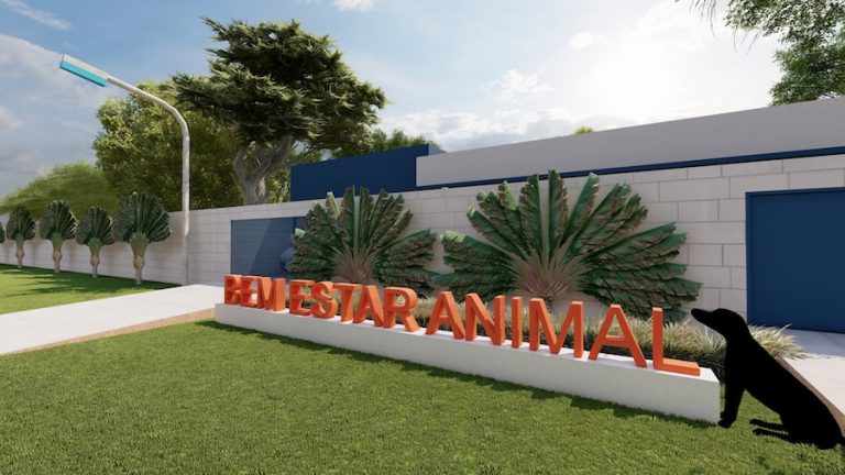 Guaíra: Prefeitura transformará Centro de Castração em Clínica Veterinária, para atender animais de rua e de famílias de baixa renda