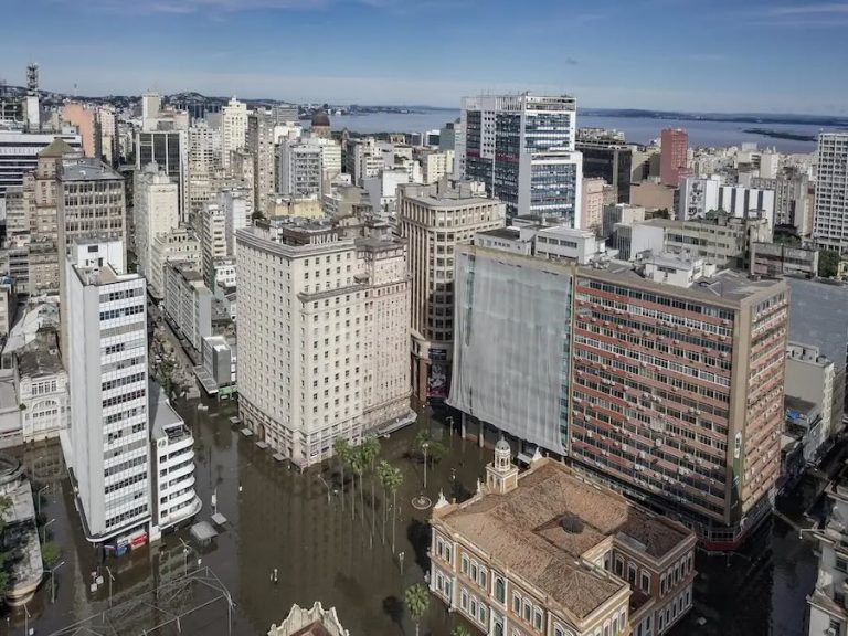 Leptospirose: dicas para prevenir a doença em cenários de enchentes