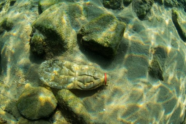 Centenas de atletas, incluindo olímpicos e paralímpicos, pedem à Coca-Cola e Pepsi que aumentem reutilização de embalagens