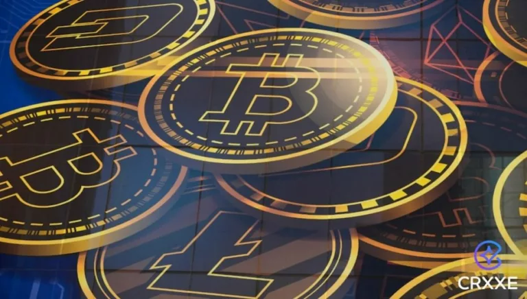 A responsabilidade de um líder de mercado: as iniciativas educacionais e filantrópicas da Crxxe