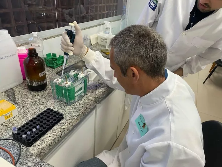 Mestrando do Instituto de Pesca está desenvolvendo teste rápido para diagnóstico de doença bacteriana em tilápias