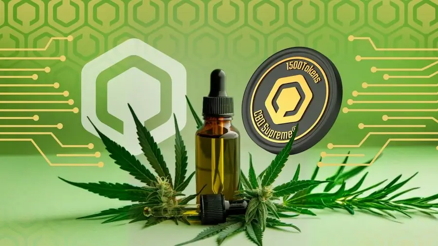 CBD Digital Flowers empresa lança clube de assinatura de cannabis medicinal