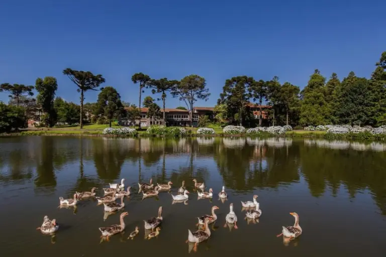 Carnaval em família: Booking compartilha 5 destinos no Brasil para curtir o feriado com as crianças