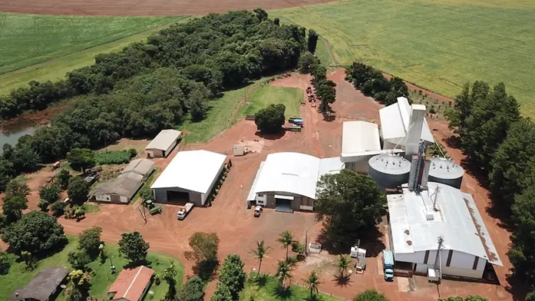 Estudo revela que solo bem manejado resiste a queimadas e mantém produtividade