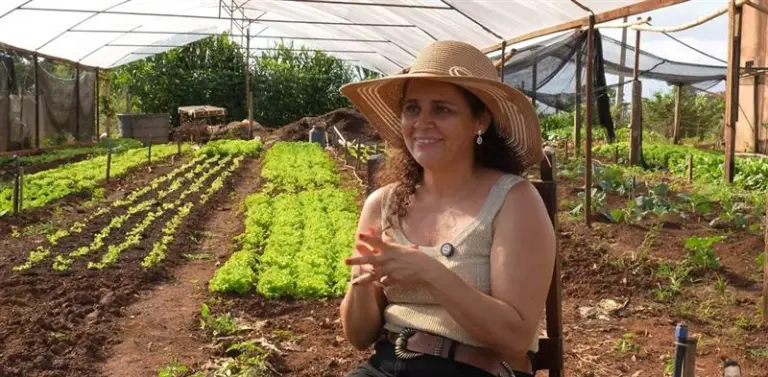 Sebrae Transforma: produtora rural conta como organizou negócio em Guaíra