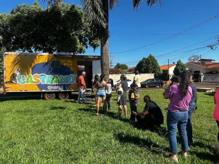 Campanha de castração: 150 animais beneficiados e inscrições abertas para novas etapas