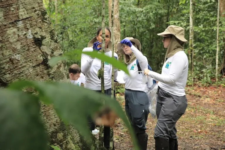 AgBiotech paulista usa biodiversidade da Amazônia e Fernando de Noronha para criar bioinsumos que transformam o agronegócio
