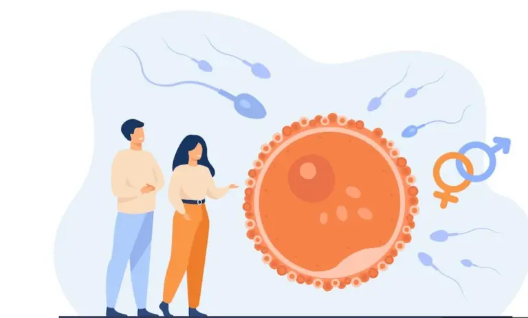 Quer engravidar? Anemia silenciosa pode estar sabotando sua fertilidade