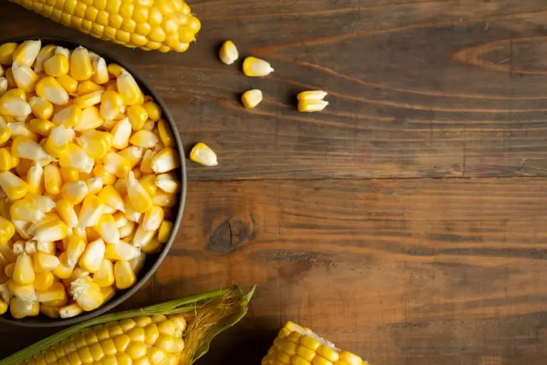 Milho: cereal cada vez mais presente na mesa dos brasileiros