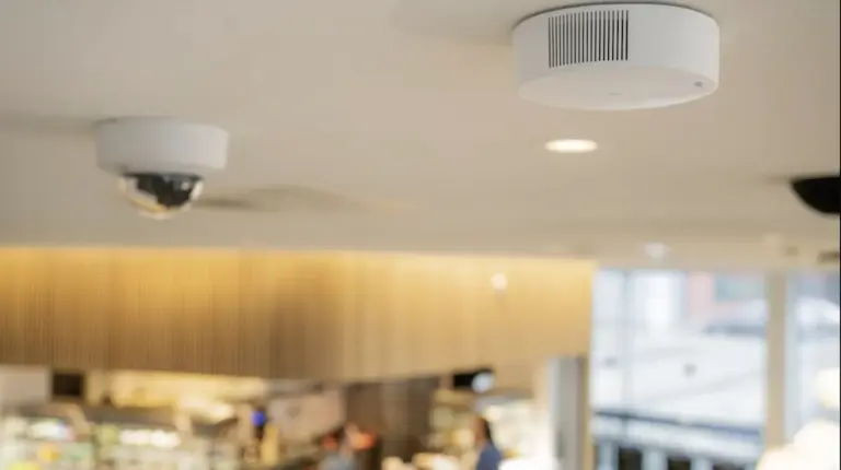 Ar puro: como a tecnologia está melhorando a vida no trabalho