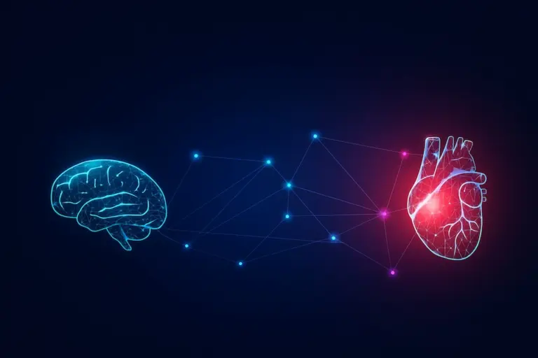 Conexão cérebro-coração: como emoções podem provocar condições cardíacas graves