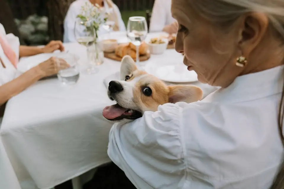 Ter animal de estimação faz bem à saúde?