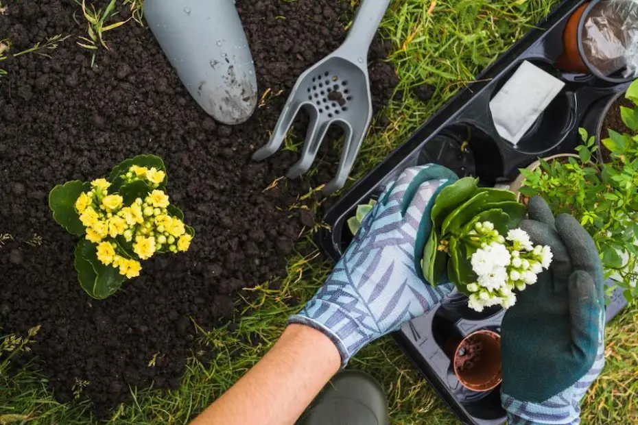 Aproveite a primavera para cuidar da casa: 5 reparos simples que fazem diferença