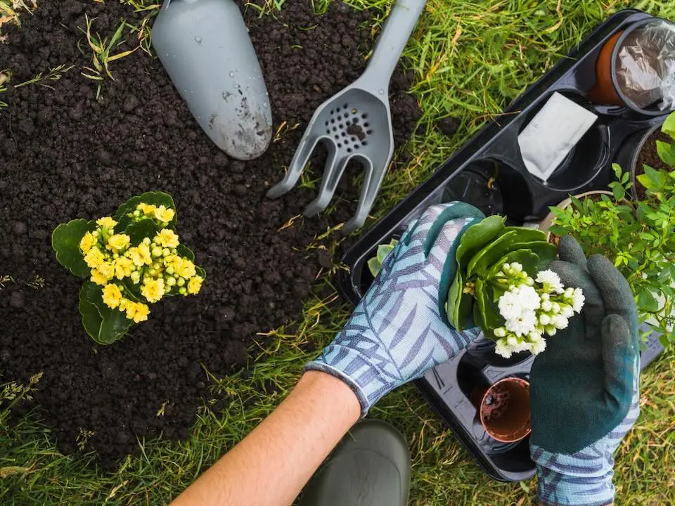 Aproveite a primavera para cuidar da casa: 5 reparos simples que fazem diferença