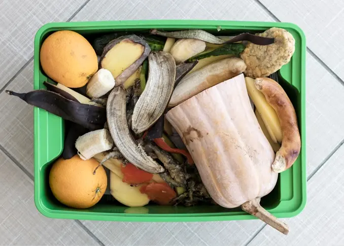 Consumo consciente: 6 dicas para reduzir desperdícios e valorizar os alimentos no dia a dia