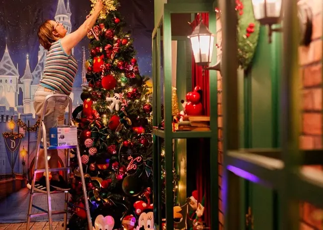 Natal sem bagunça: serviço personalizado leva uma árvore perfeita até sua casa