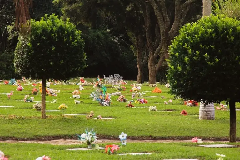 Dia de Finados: especialista desvenda mitos e curiosidades sobre o setor e a relação dos brasileiros com a morte